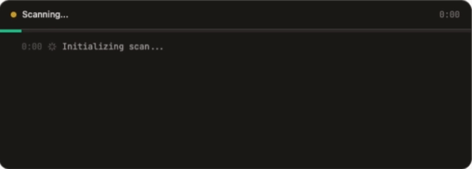 Animated demo showing a site URL being entered and scanned in real time